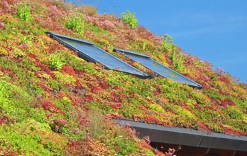 Kenny Hill living roof systems